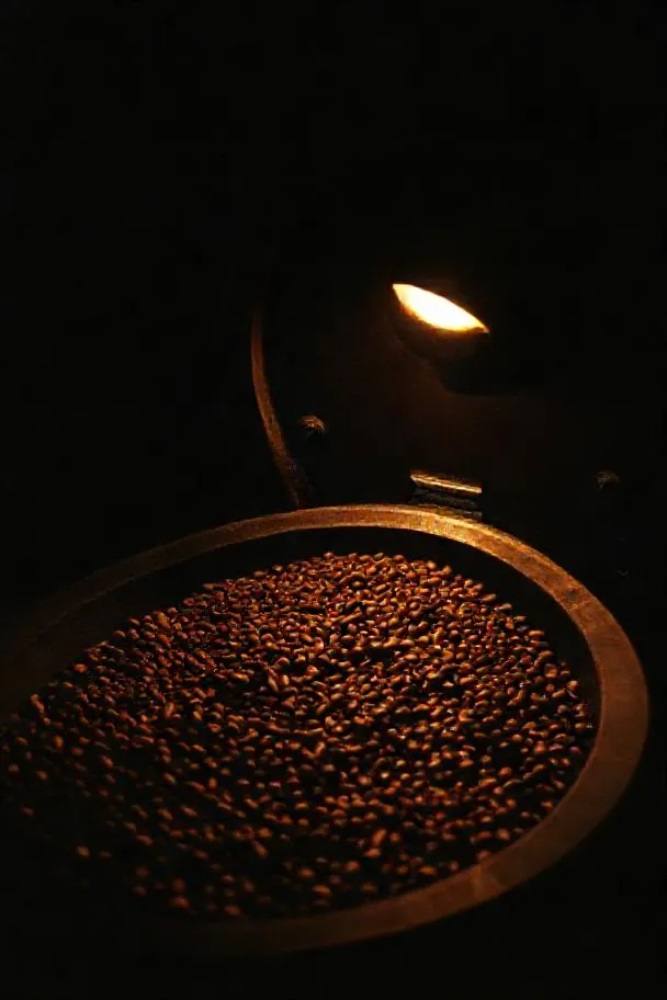 Mesin sangrai kopi dengan biji hangat