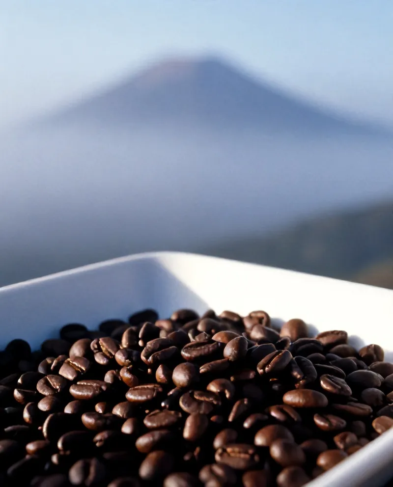Biji kopi baru sangrai jatuh ke baki pendingin