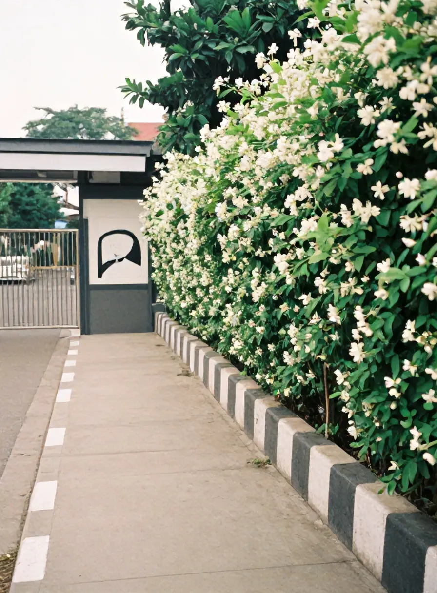 Jalan kecil menuju gerbang Wisma Melati