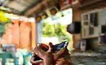 Tangan pemilik warung memegang HP Android