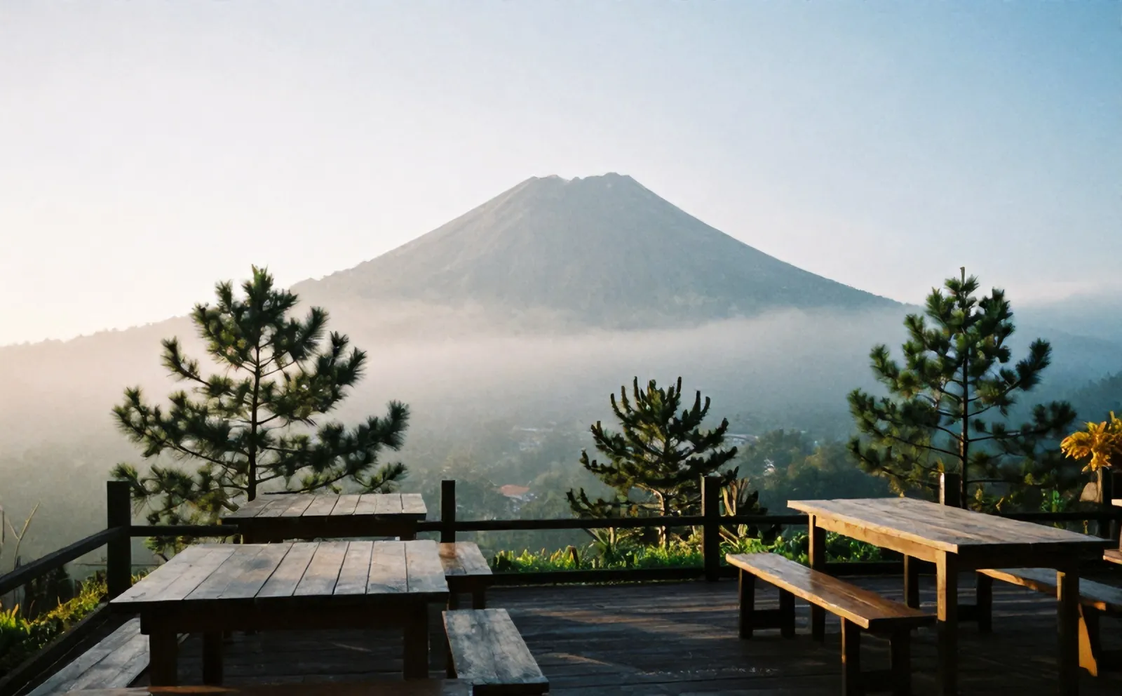 Teras Kopi Lereng yang kosong di pagi hari, Merapi berkabut di belakang pepohonan pinus