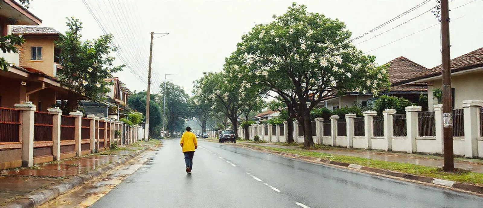 Jalan sepi di Depok dengan jalur sepeda setelah hujan